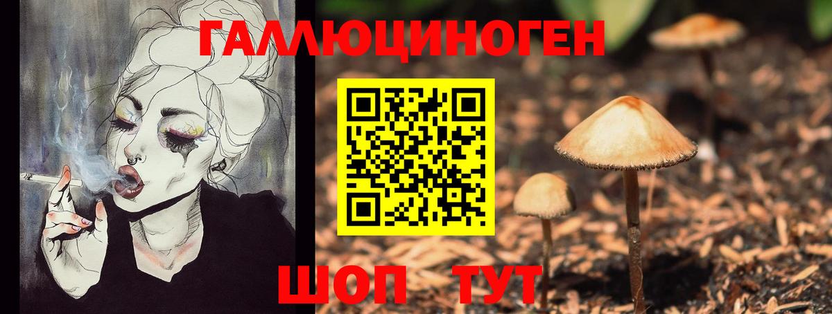 Камень-на-Оби  Псилоцибиновые грибы ЛСД  Галлюциногенные грибы Psilocybine cubensis  Вход с VPN 